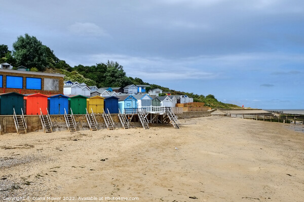 The Naze Beach Huts Picture Board by Diana Mower