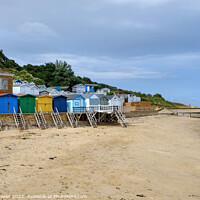 Buy canvas prints of The Naze Beach Huts by Diana Mower