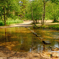 Buy canvas prints of Cannock Stepping Stones by Diana Mower