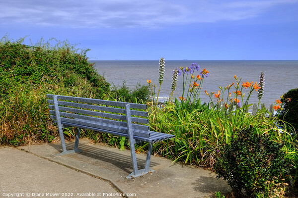 Seat with a view Walton on the Naze   Picture Board by Diana Mower