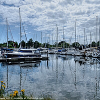 Buy canvas prints of Chichester Harbour  Marina by Diana Mower