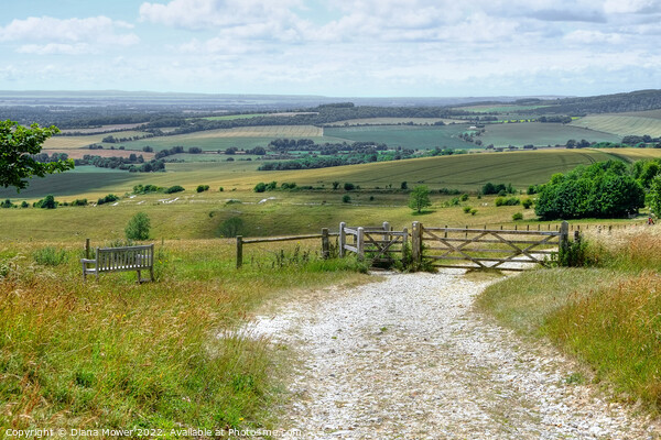 The Trundle View Picture Board by Diana Mower