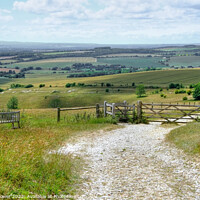 Buy canvas prints of The Trundle View by Diana Mower