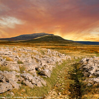 Buy canvas prints of Evening light over Whernside  by Diana Mower