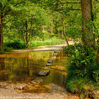 Buy canvas prints of The Cannock Chase Stepping Stones by Diana Mower
