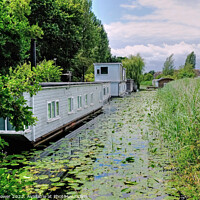 Buy canvas prints of Chichester Canal Near the Marina by Diana Mower