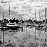 Buy canvas prints of Chichester Marina West Sussex  Monochrome by Diana Mower