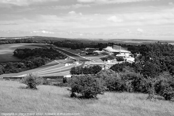 Goodwood from The Trundle Monochrome Picture Board by Diana Mower