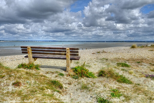 West Wittering seat on the beach   Picture Board by Diana Mower