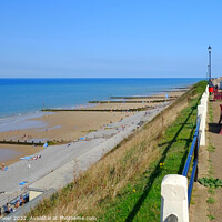 Buy canvas prints of Sheringham Cliff top Promenade by Diana Mower