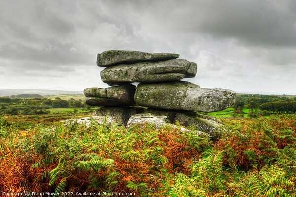 Bodmin Moor Tor Cheesewring  Picture Board by Diana Mower