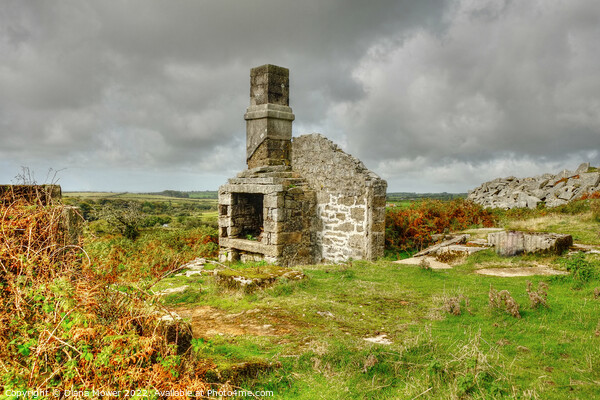 Bodmin moor Carbilly  disused quarry works  Picture Board by Diana Mower