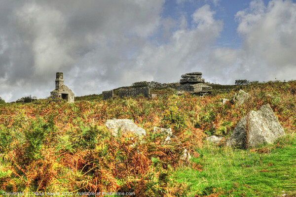Bodmin moor Carbilly Tor and disused quarry works  Picture Board by Diana Mower