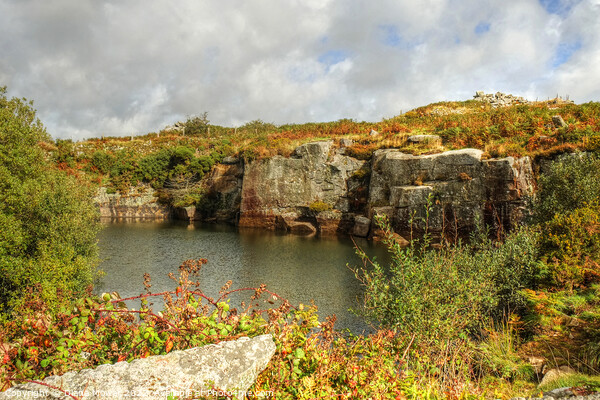 Bodmin Moor Carbilly Tor Disused Quarry  Picture Board by Diana Mower