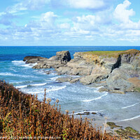 Buy canvas prints of Port Gaverne Cornwall by Diana Mower