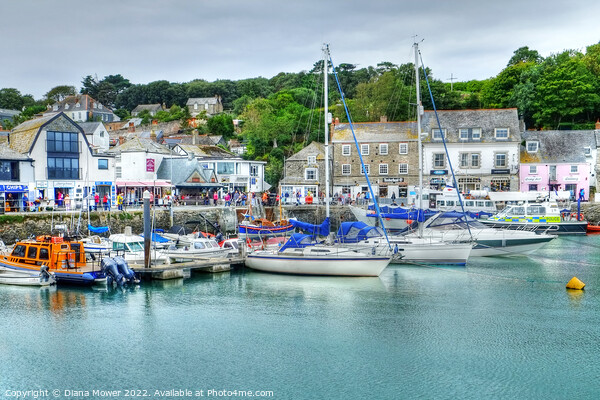 Padstow Harbour Picture Board by Diana Mower