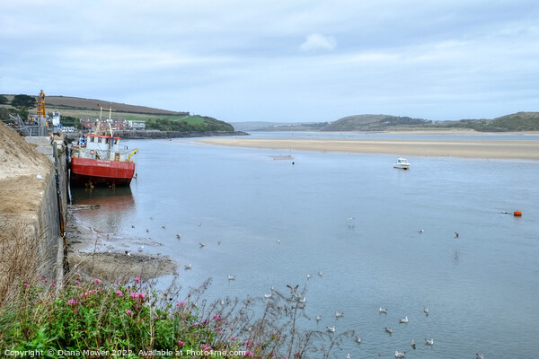 Padstow Sand Snipe River Camel Picture Board by Diana Mower