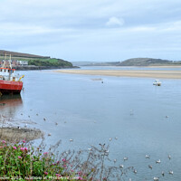 Buy canvas prints of Padstow Sand Snipe River Camel by Diana Mower
