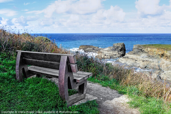 Port Gaverne Seat with a view Picture Board by Diana Mower