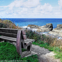 Buy canvas prints of Port Gaverne Seat with a view by Diana Mower