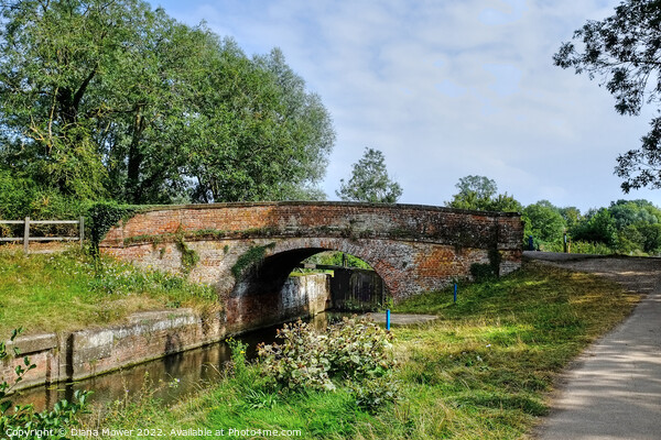 The Old Bridge at Beeleigh Essex Picture Board by Diana Mower