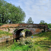 Buy canvas prints of The Old Bridge at Beeleigh Essex by Diana Mower