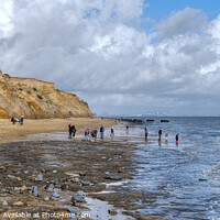 Buy canvas prints of The Naze beach Fossil Hunting by Diana Mower