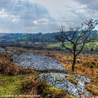 Buy canvas prints of Dartmoor Panoramic view   by Diana Mower