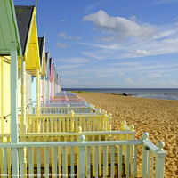 Buy canvas prints of  Mersea Beach Huts Summer day by Diana Mower