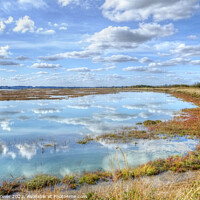Buy canvas prints of Essex Blackwater Estuary Marshes by Diana Mower