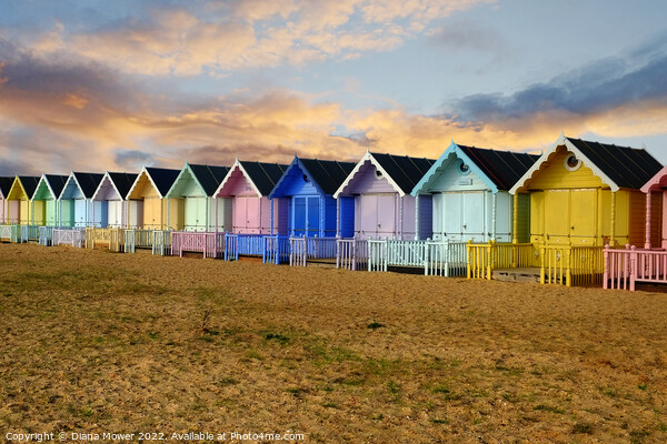 West Mersea Beach Huts Sunset  Picture Board by Diana Mower