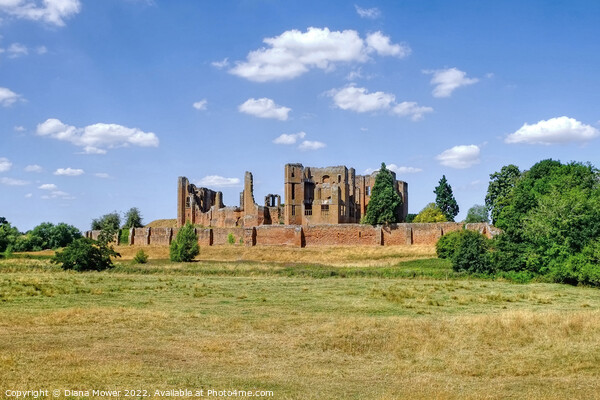 Kenilworth Castle Picture Board by Diana Mower