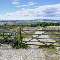 Buy canvas prints of The Trundle Hill Fort Walk  by Diana Mower