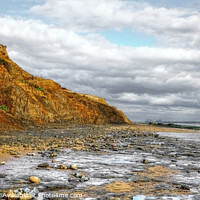 Buy canvas prints of The Naze beach at low tide by Diana Mower