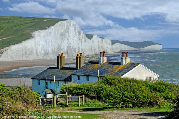 The Seven Sisters at Cuckmere Haven Sussex   Picture Board by Diana Mower
