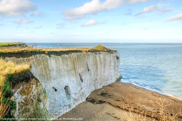 Botany Bay Chalk Cliffs Kent Picture Board by Diana Mower