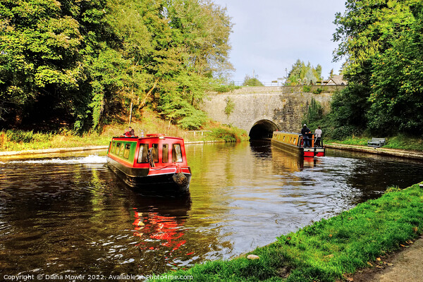 Chirk Canal Tunnel Narrow Boats Picture Board by Diana Mower