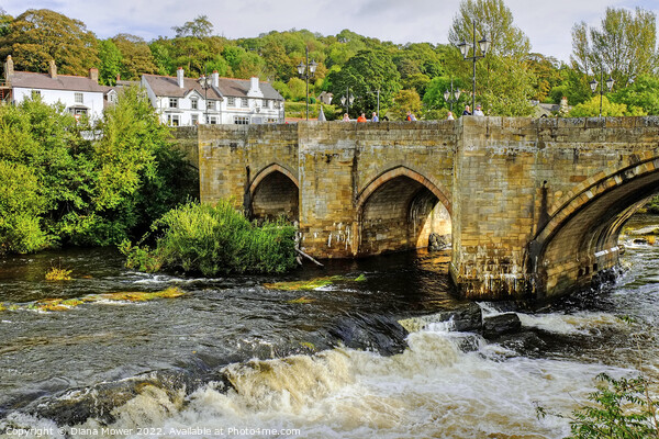 The Bridge over the Dee at Llangollen Picture Board by Diana Mower