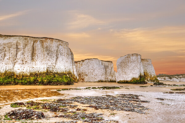 botany bay sea stacks Kent Sunset Picture Board by Diana Mower