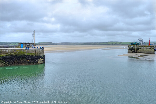 Padstow Harbour Entrance Picture Board by Diana Mower