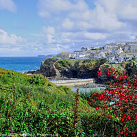 Buy canvas prints of  Picturesque Port Isaac   by Diana Mower