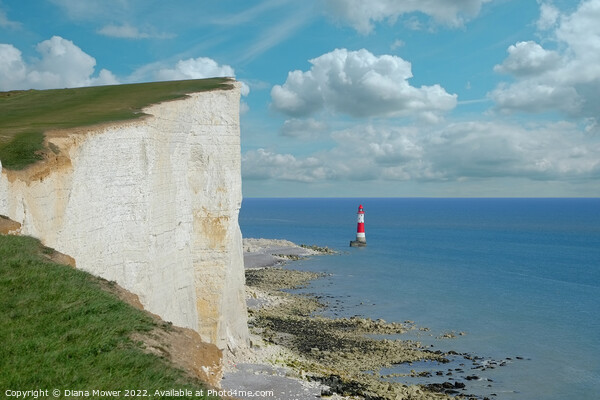 Beachy Head lighthouse Picture Board by Diana Mower