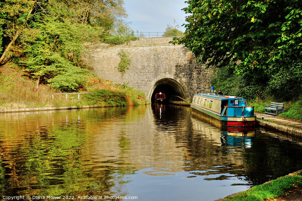 Chirk Canal Tunnel   Picture Board by Diana Mower