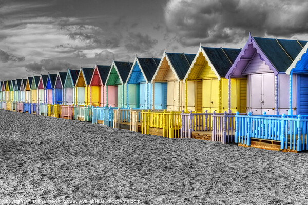 Mersea Beach Huts selective colour Picture Board by Diana Mower