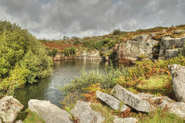 Bodmin moor Carbilly Tor disused quarry  Picture Board by Diana Mower