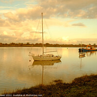 Buy canvas prints of Maldon Blackwater Golden hour  by Diana Mower
