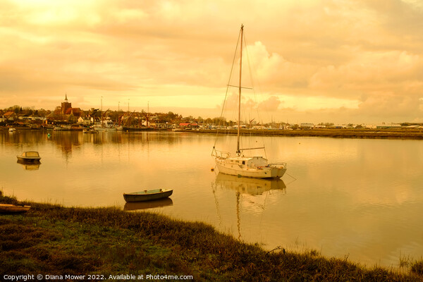 Golden hour Maldon Essex Picture Board by Diana Mower