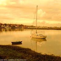 Buy canvas prints of Golden hour Maldon Essex by Diana Mower