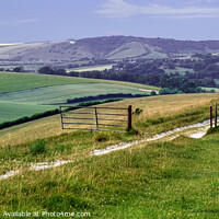 Buy canvas prints of Sussex Countryside wide panoramic view by Diana Mower