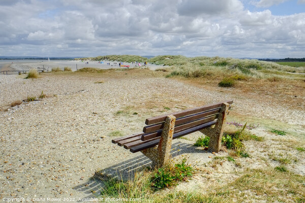 West Wittering seat with a view Picture Board by Diana Mower